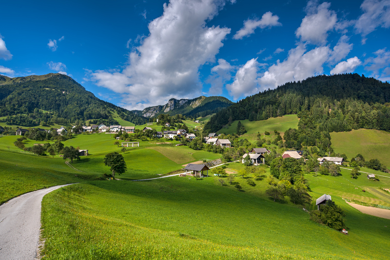 moving house packing