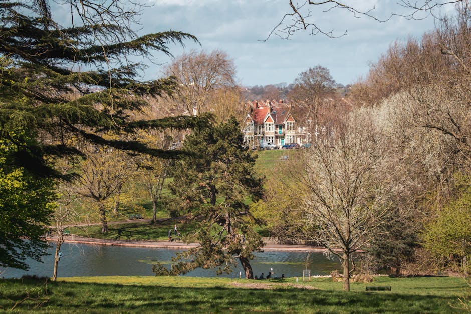A wide view of a park area near Golders Hill Park showing a calm pond surrounded by various trees, some with budding leaves and others still bare, indicating early spring. In the background, there is a large, historic-looking house with multiple gables, red roof tiles, and decorative architectural details, situated on a gentle hill overlooking the park. The park features a paved pathway along the pond's edge with a few pedestrians visible, and the grassy areas are well-maintained with benches placed for visitors. The overall scene is illuminated by natural daylight with partly cloudy skies above, creating a tranquil environment suitable for outdoor activities and leisure. This setting relates to home relocation or house removals in the Golders Hill Park area, where careful packing, furniture transport, and loading processes are essential, often involving professional services such as those from Man with Van Childs Hill to facilitate smooth moves near historic properties and green spaces.