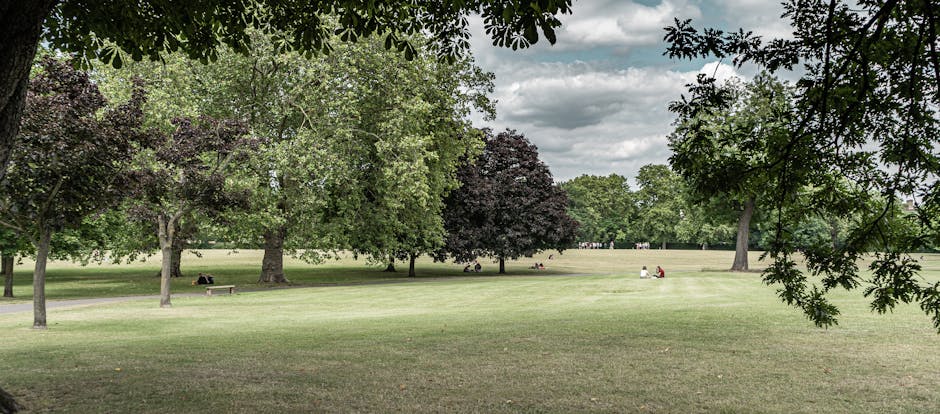 A wide view of a park area near Golders Hill Park showing a calm pond surrounded by various trees, some with budding leaves and others still bare, indicating early spring. In the background, there is a large, historic-looking house with multiple gables, red roof tiles, and decorative architectural details, situated on a gentle hill overlooking the park. The park features a paved pathway along the pond's edge with a few pedestrians visible, and the grassy areas are well-maintained with benches placed for visitors. The overall scene is illuminated by natural daylight with partly cloudy skies above, creating a tranquil environment suitable for outdoor activities and leisure. This setting relates to home relocation or house removals in the Golders Hill Park area, where careful packing, furniture transport, and loading processes are essential, often involving professional services such as those from Man with Van Childs Hill to facilitate smooth moves near historic properties and green spaces.