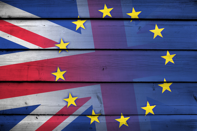 moving company moving services